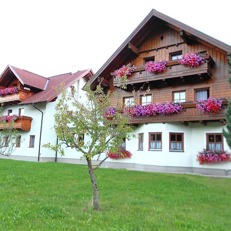 Hotel Pension Thorerhof Haus im Ennstal Zewnętrze zdjęcie