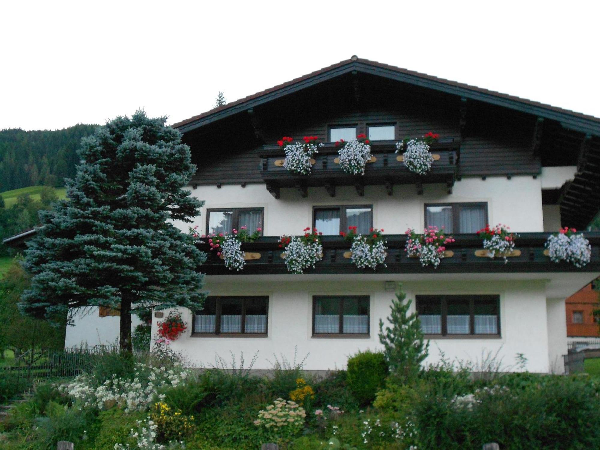 Hotel Pension Thorerhof Haus im Ennstal Zewnętrze zdjęcie